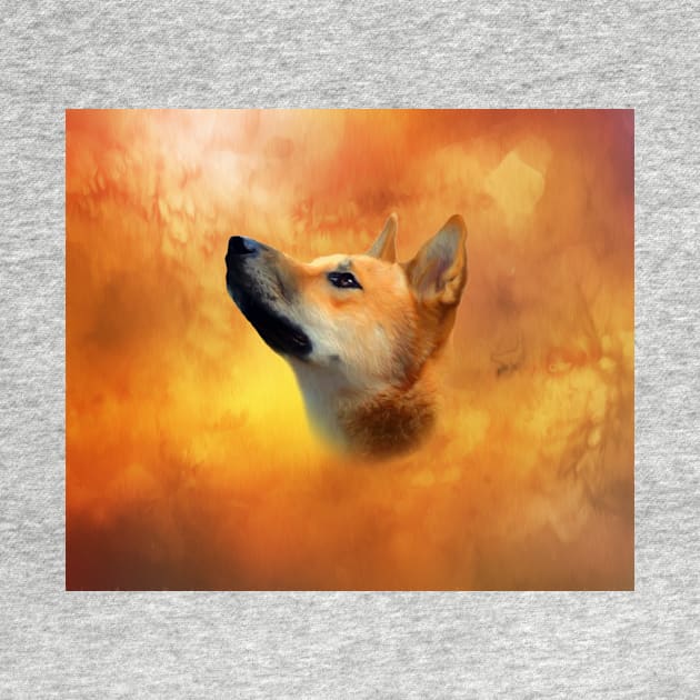 Dingo by Guardi